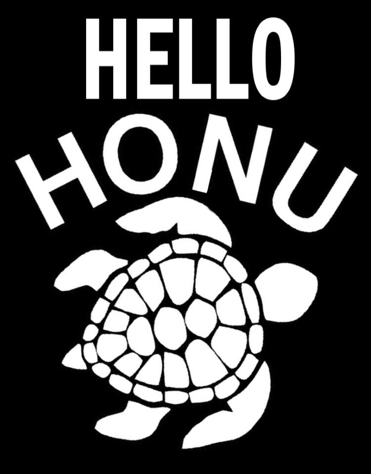 hello_honu_03