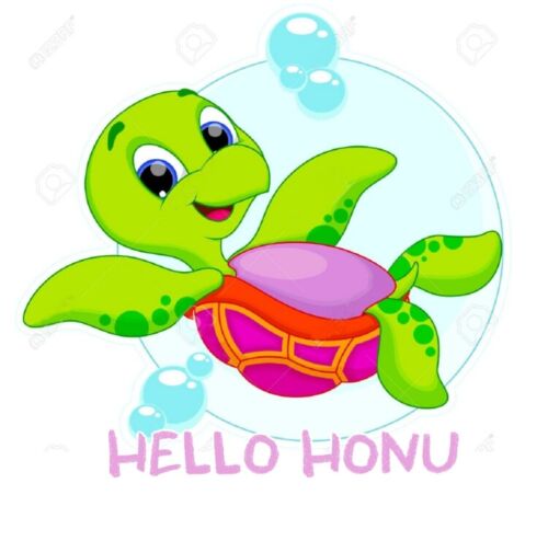 hello_honu_07