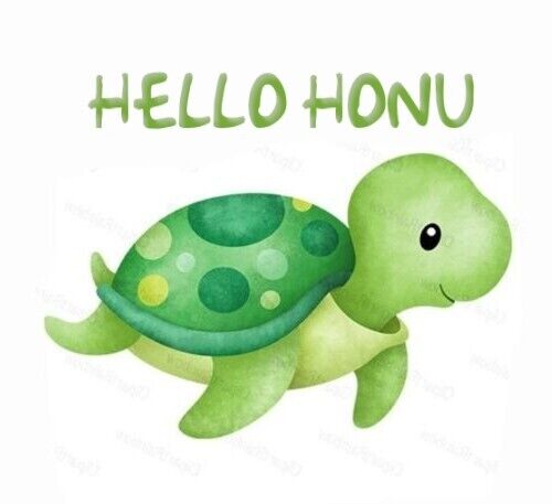 hello_honu_12
